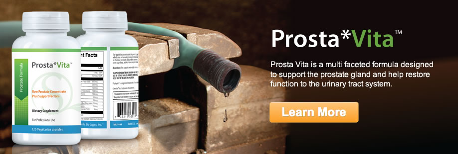 Prosta Vita