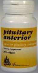 Pituitary (Anterior) - 90 TB