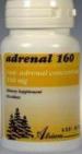 Adrenal
