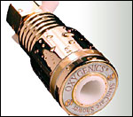 Showerhead Gold - 2.0 GPM