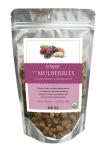 Raw Mulberries 1.8oz - Organic