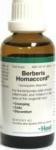Berberis Homaccord - 50 ML