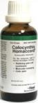 Colocynthis Homaccord - 50 ML