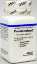 Duodenoheel - 100 TB
