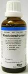 Rhododendron - 50 ML