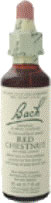 Red Chestnut - 20 ML