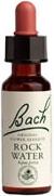 Rock Water - 20 ML
