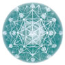 The Synergy Company Profile